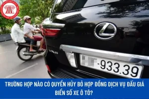 Tại Sao Cần Dịch Vụ Đăng Ký Xe Ô Tô