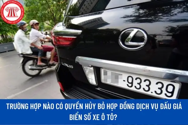 Tại Sao Cần Dịch Vụ Đăng Ký Xe Ô Tô