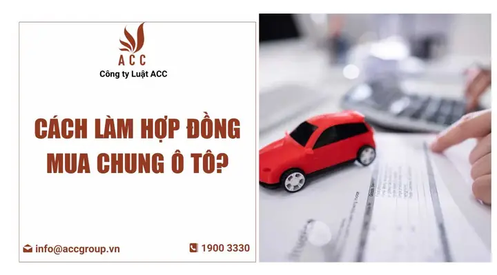 Nội Dung Chính Các Điều Khoản