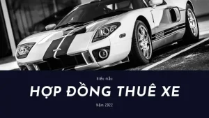 Mau Hop Dong Thue Xe