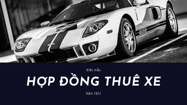 Mau Hop Dong Thue Xe