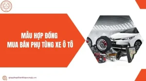 Mẫu Hợp Đồng Tư Vấn Nhập Khẩu Xe Ô Tô: Hướng Dẫn Chi Tiết