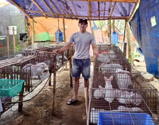 Mô Hình Xe Ô Tô Trần Văn Đang: Góc Nhìn Tổng Quan Cho Người Đam Mê