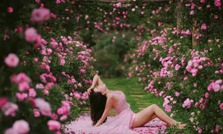 Mở Rửa Xe Ô Tô Dọn Nội Thất