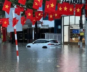 Mưa Lớn Ngập Xe Ô Tô: Hướng Dẫn Xử Lý An Toàn & Hiệu Quả