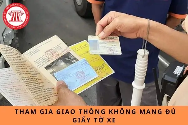 Từ Năm 2025, Không Mang Đủ Giấy Tờ Xe Khi Tham Gia Giao Thông Bị Phạt Bao Nhiêu?
