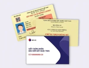 Các Loại Giấy Tờ Xe Cần Phải Mang Theo Khi Tham Gia Giao Thông