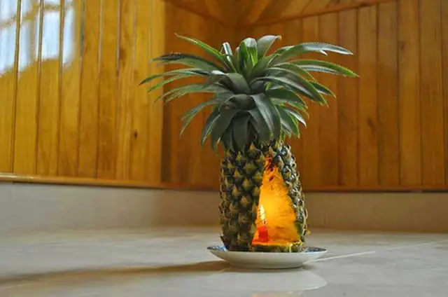 Xử Lý Mùi Hôi Trong Xe Bằng Trái Dứa (trái Thơm)