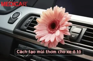 Mẹo Tạo Mùi Thơm Cho Xe Ô Tô