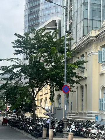 Nan Giải Tìm Chỗ Để Xe Khu Vực Trung Tâm Thành Phố