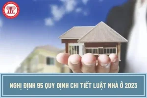 Nghị Định 95 Quy Định Niên Hạn Xe Ô Tô: Toàn Cảnh Các Quy Định Mới Nhất