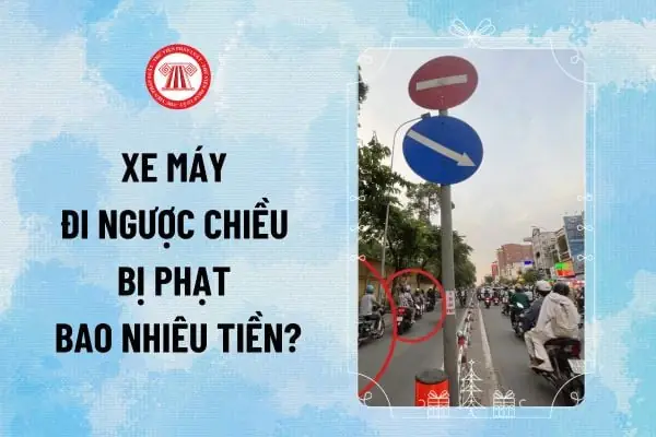 Xử Lý Khi Ô Tô Gặp Xe Máy Ngược Chiều Đường Hai Chiều?