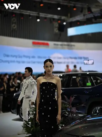 Chiêm Ngưỡng Sắc Đẹp Của Dàn Người Mẫu Tại Triển Lãm Ô Tô Việt Nam 2024- Ảnh 2.