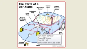 Nguyên Lý Độ Đèn Xe Ô Tô: Từ Cơ Bản Đến Chuyên Sâu An Toàn