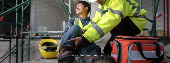 Nhà Cc Bảo Hiểm Thân Vỏ Xe Ô Tô