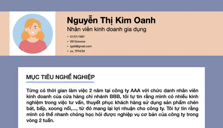 Nhã¢n Viãªn Kinh Doanh Gia Dá»¥ng