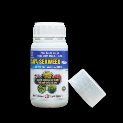 Nhập Buôn Bi Nsk Cho Xe Ô Tô: Hướng Dẫn Toàn Diện