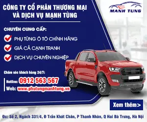 Cãng Ty Cổ Phần Thương Mại Vã Dịch Vụ Mạnh Tãng