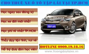 Nên Tập Lái Xe Ô Tô Ở Đâu Để An Toàn Và Vững Tay Lái?
