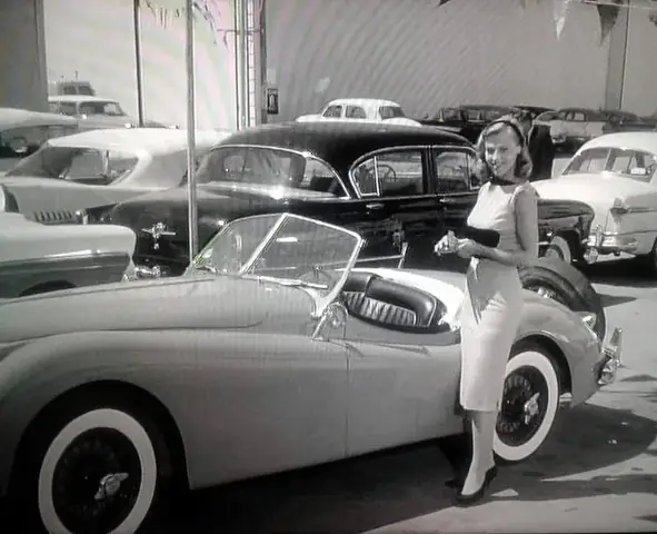 Nữ Diễn Viên Bên Xe Ô Tô Và Nghệ Thuật Xây Dựng Hình Ảnh Thương Hiệu Xe Hơi