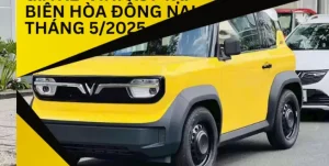 10 Kinh Nghiệm Vàng Lái Xe An Toàn Tránh Va Chạm Tại Biên Hòa