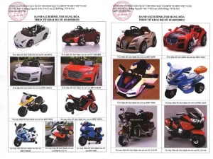 Phân Biệt Xe Ô Tô Điện Trẻ Em, Xe Máy Điện Trẻ Em Nội Địa Và Xuất Khấu Như Thế Nào