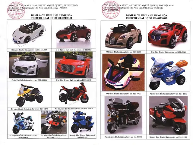 Phân Biệt Xe Ô Tô Điện Trẻ Em, Xe Máy Điện Trẻ Em Nội Địa Và Xuất Khấu Như Thế Nào