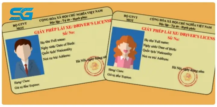 Bằng Lái Xe Ô Tô Hạng D1e