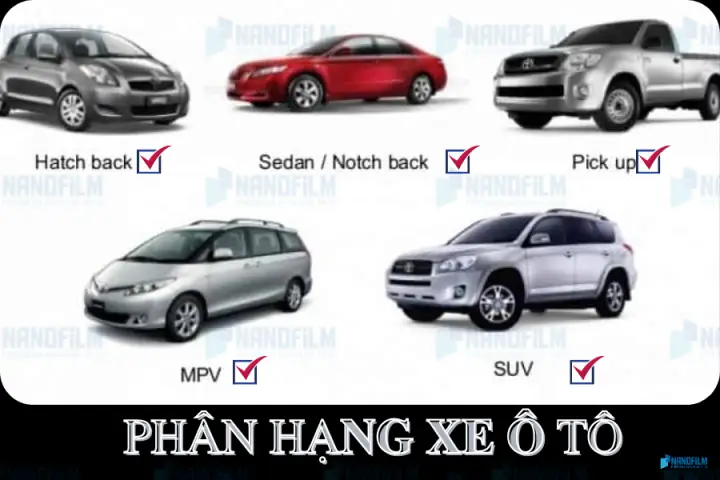 Phân Khúc Xe Ô Tô Là Gì? Vì Sao Việc Phân Loại Lại Quan Trọng?