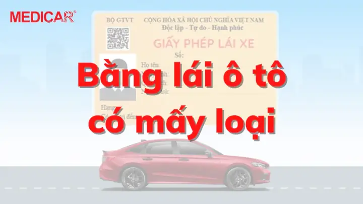 Tổng Hợp Các Loại Bằng Lái Xe Ô Tô Tổng Hợp Các Loại Bằng Lái Xe Ô Tô
