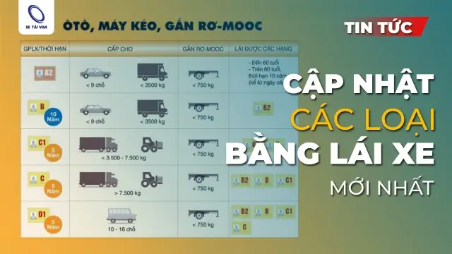 Các Loại Bằng Lái Xe Ô To Mới Nhất 2025 Các Loại Bằng Lái Xe Ô To Mới Nhất 2025