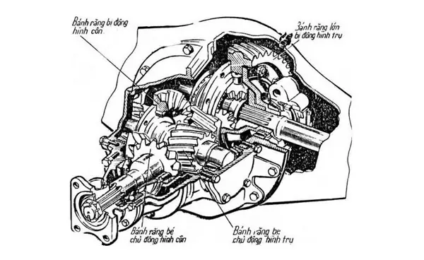 Cầu Chủ Động Kép
