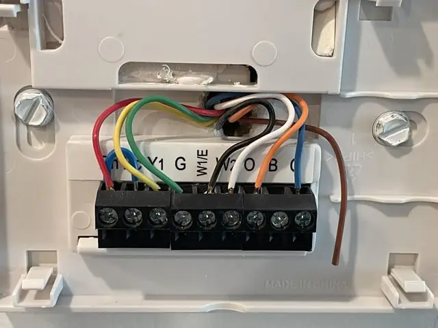 Phần Mềm Tra Đường Đi Dây Điện Xe Ô Tô: Tại Sao Cần Và Chọn Loại Nào?