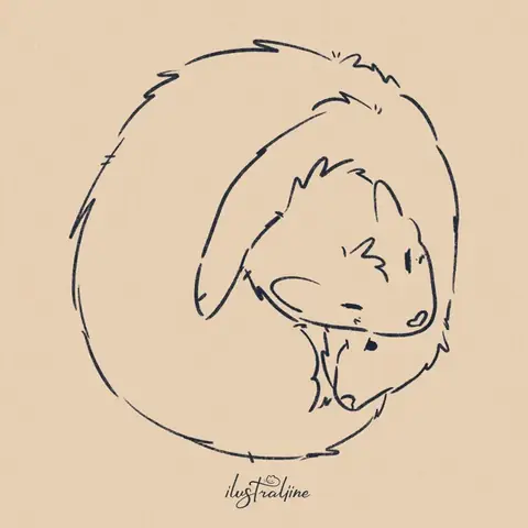 Phí Đăng Kiểm Xe Ô Tô Tiếng Anh Là Gì? Phân Tích Chi Tiết