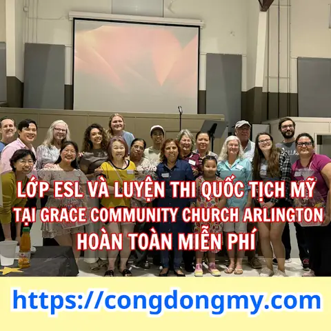 Phí Đăng Ký Xe Ô Tô Tiếng Anh Là Gì Và Các Thuật Ngữ Liên Quan