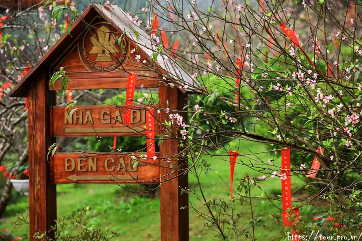 Du Lịch Tây Thiên Mùa Nào Đẹp ?