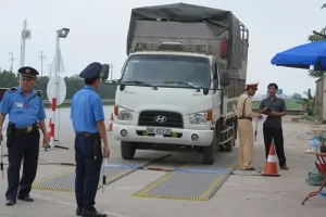 Những Loại Xe Nào Phải Gắn Phù Hiệu Ô Tô?