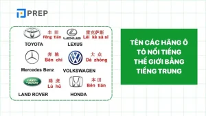 Tên Các Hãng Ô Tô Nổi Tiếng Thế Giới Bằng Tiếng Trung