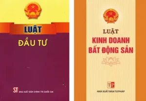 Quy Chế Điều Động Xe Ô Tô: Hướng Dẫn Chi Tiết Từ A Đến Z