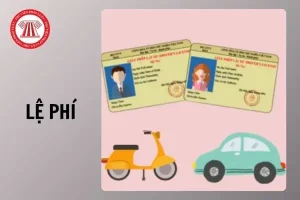 Quy Định Chế Độ Cấp Xe Ô Tô Mới Nhất Và Các Mức Tiêu Chuẩn