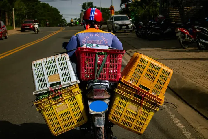 Chiều Cao, Chiều Rộng Và Chiều Dài Xếp Hàng Hóa Trên Phương Tiện Giao Thông Đường Bộ Từ Ngày 1-1-2025 Chiều Cao, Chiều Rộng Và Chiều Dài Xếp Hàng Hóa Trên Phương Tiện Giao Thông Đường Bộ Từ Ngày 1-1-2025
