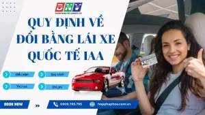 Quy Định In Vé Xe Ô Tô: Tất Cả Những Gì Bạn Cần Biết
