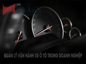Hướng Dẫn Chi Tiết Quy Định Quản Lý Xe Ô Tô Trong Công Ty
