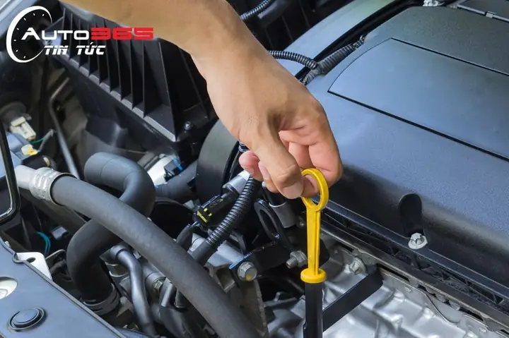 Khi Nào Nên Thay Nhớt Cho Xe Ô Tô?