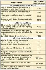 Quy Định Về Tước Giấy Phép Lái Xe Ô Tô: Vi Phạm Nào Bị Tước Gplx?
