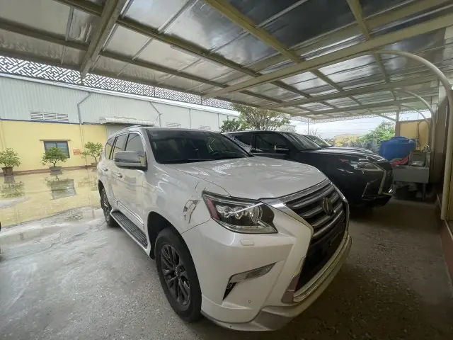 Căn Cứ Pháp Lý Xác Định Tài Sản