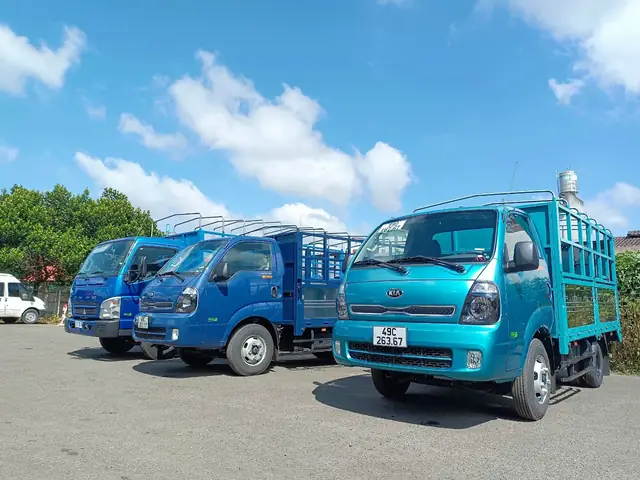 Quy Định Giờ Cấm Xe Tải Tphcm Năm 2024 (tham Khảo)