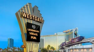 So Sánh Các Loại Xe Ô Tô 5 Chỗ: Chọn Sedan, Hatchback Hay Cuv?