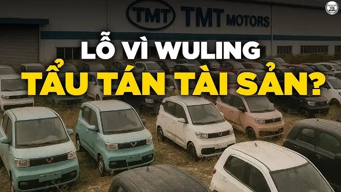 Tài Sản Của Hãng Xe Ô Tô Bao Gồm Những Gì? Tài Sản Của Hãng Xe Ô Tô Bao Gồm Những Gì?