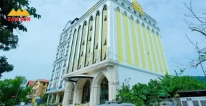 Sơn Xe Ô Tô Nesta: Nên Chọn Loại Nào Và Lưu Ý Khi Thi Công